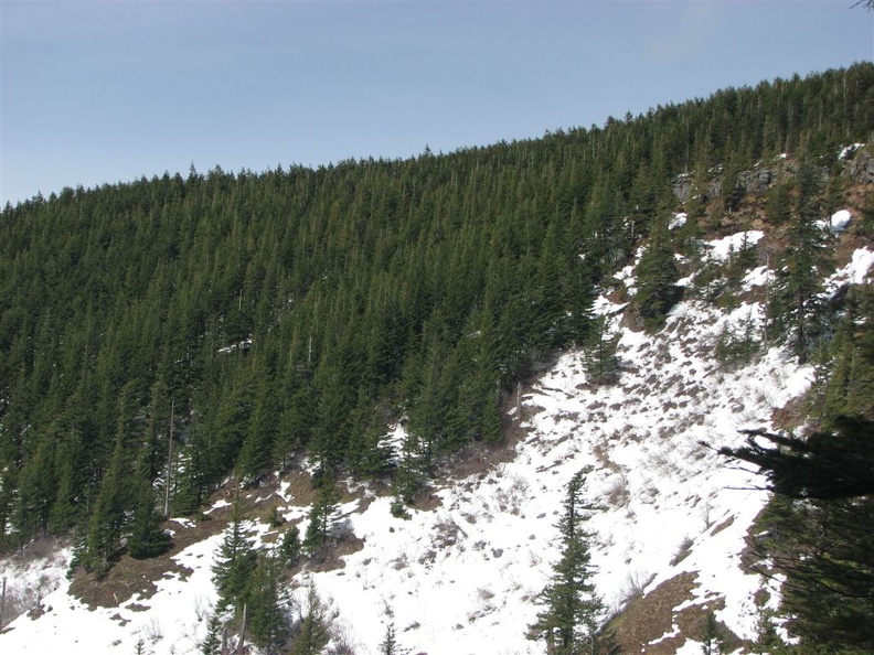 Going down the Eagle-Benson Trail skirts a sharp dropoff that provides views to the north.