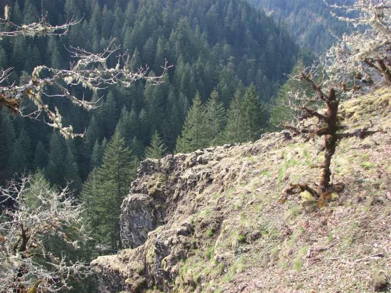 The lower part of the Eagle-Benson Trail makes its way down a place where there isn't a sheer dropoff down to Eagle Creek. You can see the nearby cliffs that drop down to Eagle Creek.