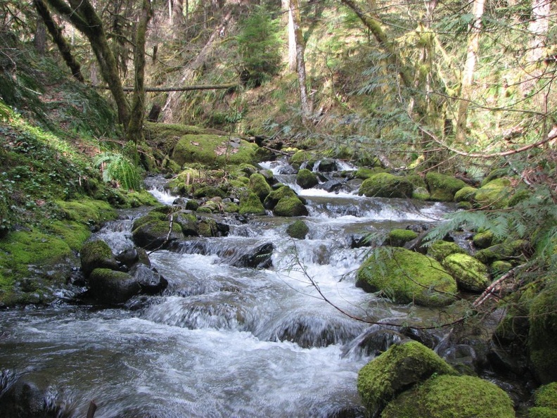 The Eagle-Benson Trail goes into this creek valley and then crosses the creek. I couldn't find the namne for this creek.