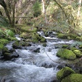 The Eagle-Benson Trail goes into this creek valley and then crosses the creek. I couldn't find the namne for this creek.