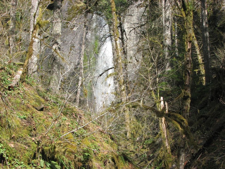 Here is the bottom of Wy'east Falls along the Eagle-Benson Trail. This is seen from the Eagle Creek Trail.