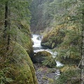Mossy Rocks at Eagle Creek, Oregon