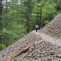 Here is a place where an ancient rockslide has provided an opening in the forest.