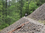 Here is a place where an ancient rockslide has provided an opening in the forest.