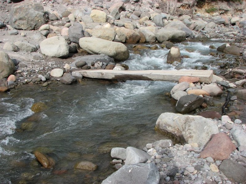 The second major creek crossing on the Elk Meadows Trail is Newton Creek. As you can see, this crossing has to be replaced annually. Some years it is good and other years it is just some logs.