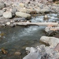 The second major creek crossing on the Elk Meadows Trail is Newton Creek. As you can see, this crossing has to be replaced annually. Some years it is good and other years it is just some logs.