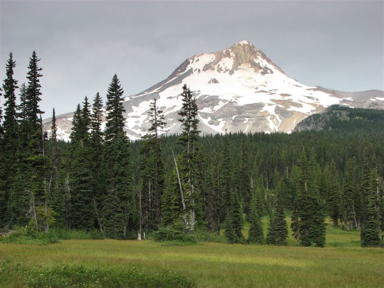 Elk Meadows has fine views of Mt. Hood. The meadow is marshy in places.