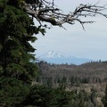 Mt. Adams towers in the distance from the Timberline Trail. The Knarl Ridge fire has burned the trees in the foreground. The Gnarl Ridge Fire was started by lightning on Thursday night, August 7, 2008 and quickly spread. The fire burned until put out by w