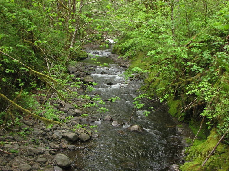 Elk Creek flows all year long near the trailhead.