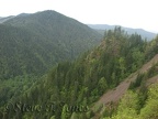 Looking towards the coast from the Elk Mountain Trail.