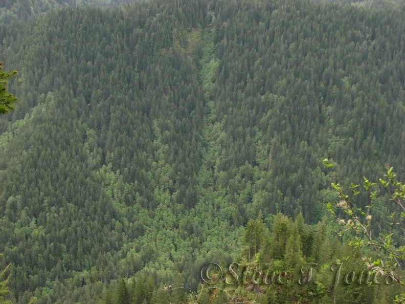 Dark evergreen trees trees and lighter colored deciduous trees make a pattern of fingers up the ravines of a neighboring mountainside.