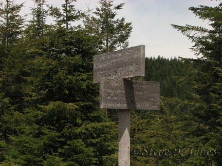 Trail junction on Elk Mountain-Kings Mountain Trail. The trail to the left continues to Kings Mountain, the trail to the right leads to Elk Creek Campground.
