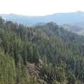 A view of the Tillamook State Forest from the Elk Mountain-Kings Mountain Trail.