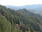 A view of the Tillamook State Forest from the Elk Mountain-Kings Mountain Trail.