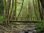 Bob crosses a nice log bridge on the return trail between Kings Mountain Trailhead and Elk Creek.