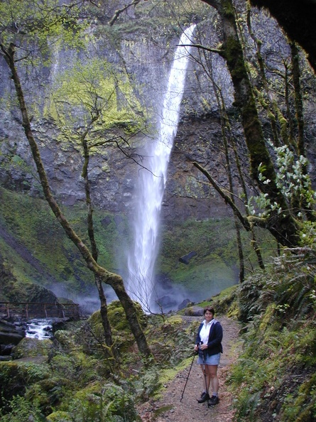 Elowah Falls in the Columbia River Gorge