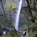 Elowah Falls in the Columbia River Gorge