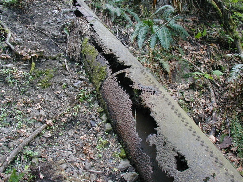 Water pipe on McCord Creek Trail. Think of the effort it took to haul these sections of pipe up the hillside. I think these pipes supplied water to a sawmill.