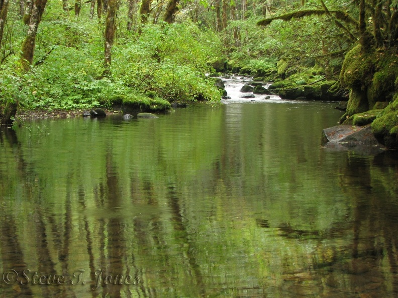 Falls Creek cascades into this lovely still water at the junction of trails 152 and 152A. aab.jpg