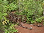 The trail soon crosses over this interesting suspension bridge over Falls Creek.