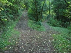 Junction of Fire Lane 12 on the left and Fire Lane 15 on the right. You can see the trees shade the trail.