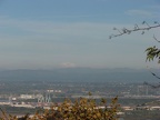 A wider angle of view showing Mt. Adams behind the Portland industrial area taken from near the junction of the BPA Road and Fire Lane 13.