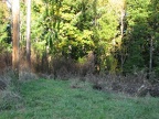 Picture of the end of Fire Lane 13 showing the power poles that mark the start of the user trail. You can see the user trail going off into the brush just to the right of the poles.