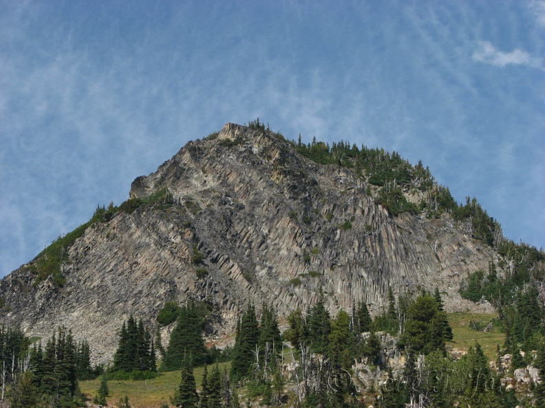 Columnar basalt points skyward along the Glacier View Trail.