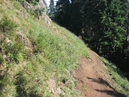 Trail section on the Glacier View Trail that our work crew of five repaired. The Washington Trail Association organized this three day work party.