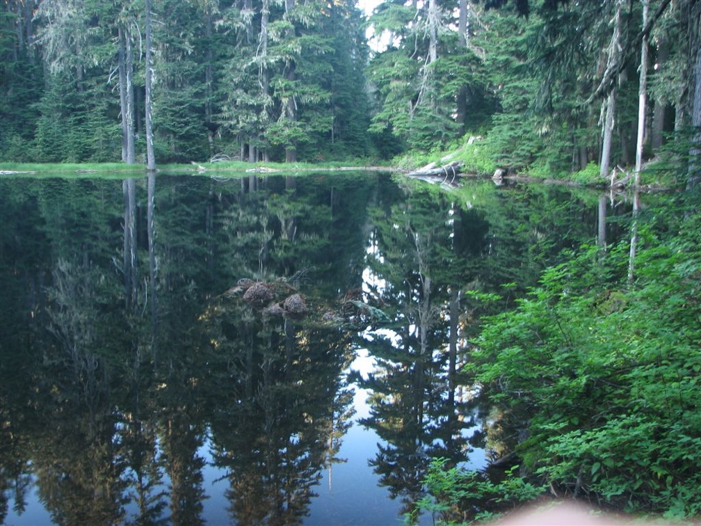 West Lake is a jewel of a lake nestled in the trees below Glacier View. The lake bottom has a moderate slope and it makes a great place for a summer swim in a cold lake.