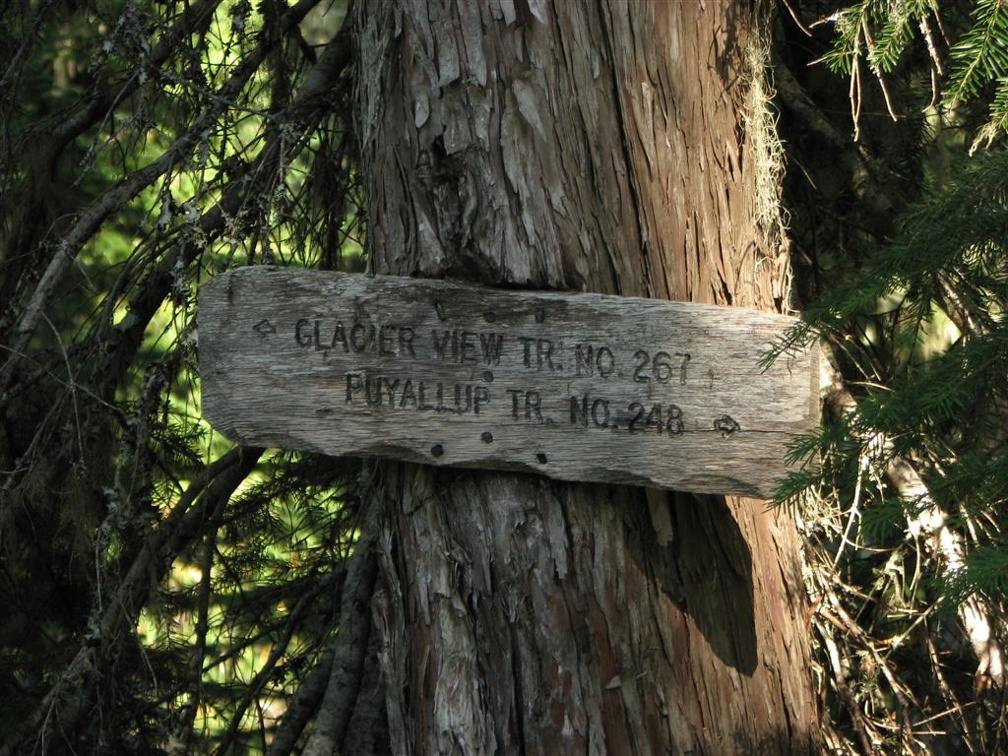 The rustic trail sign at the junction of Glacier View Trail and Puyallup Trail to Gobbler's Knob. This junction is only about 500 feet from the trailhead and is easily missed on the return trip.