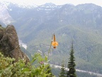 Tiger Lily overlooking Tahoma Valley July 2004