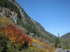 Fall colors at the trailhead on Westside Road