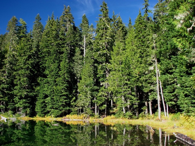 Lake George on Gobbler's Knob Trail