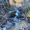 Several small creeks cross the lower portions of the trail. This one is in a small gully.