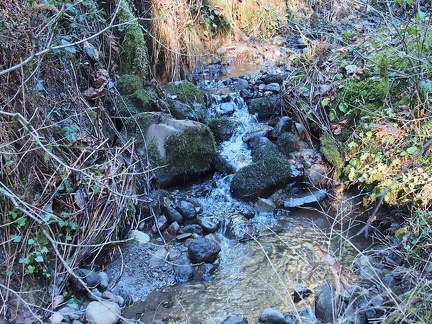 Several small creeks cross the lower portions of the trail. This one is in a small gully.