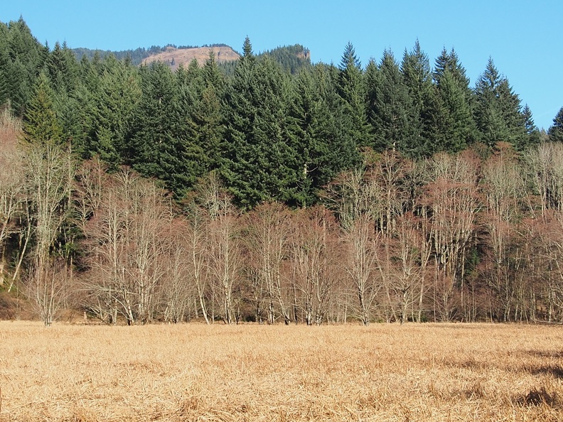 Here is what Carpenters Lake looks like. There isn't much of a lake anymore, just some small pools and a wetland.