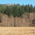 Here is what Carpenters Lake looks like. There isn't much of a lake anymore, just some small pools and a wetland.