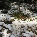Fall snow on the trail. This are can get deep snows and people have been lost in the area.
