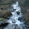 Rock Creek on the Tarbell Trail.