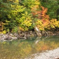 The fall colors of Vine Maple leaves are are reflected in the Ohanapecosh River on the path to the Grove of the Patriarchs at Mt. Rainier National Park.