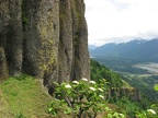 Basalt Cliffs along the Hamilton Mountain Trail