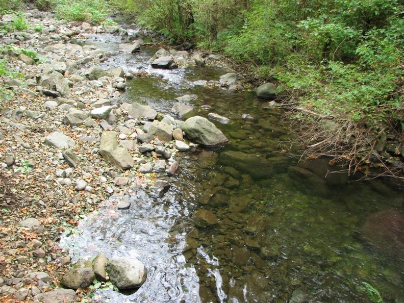 Hardy Creek flows gently at the beginning of the Hardy Creek Trail.