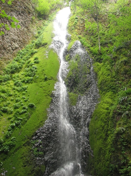 Falls