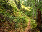 The narrow trail passes beneath Horseshoe Ridge.