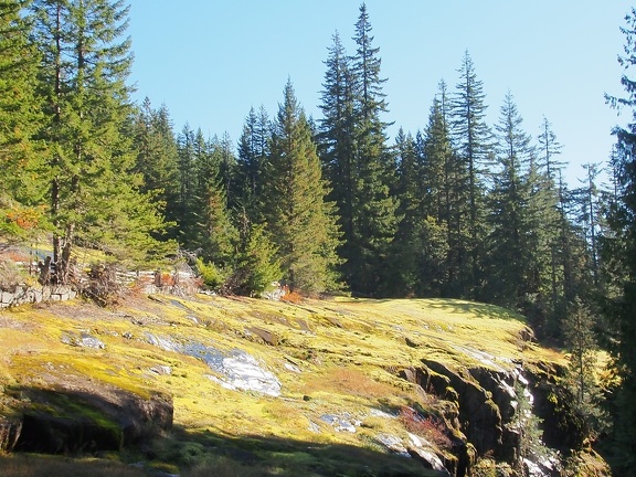 We started at Box Canyon and walked right past the junction to the Wonderland. The fall rains have really made the moss turn bright green.