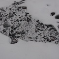 I liked the patterns of the rocks along the stream where a light dusting of snow fills in the gaps between the stones.