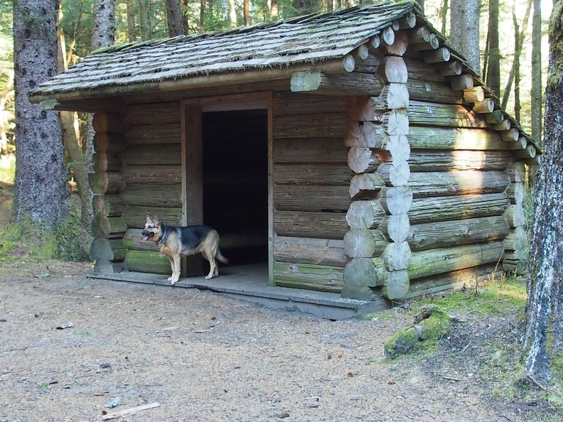 Jasmine looks over the Hiker's Camp at the terminus of the Clatsop Loop Trail. Lewis and Clark visited this area.