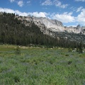 Lupine and Echo Peaks in Yosemite National Park.