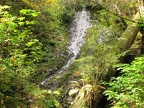 Wilson Falls along the Wilson River Trail.